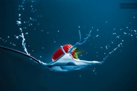 photo art12 strawberry milk spoon